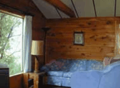The Pines Resort - Grafton Accommodation