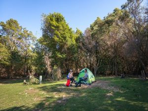Hobart Beach campground - Grafton Accommodation
