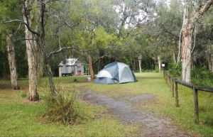 Kylies Hut walk-in campground - Grafton Accommodation