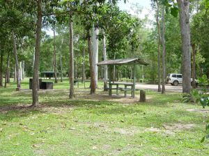Broadwater camping area Abergowrie State Forest - Grafton Accommodation