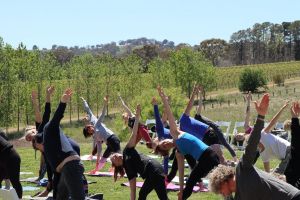 Yoga in the Vines - Grafton Accommodation